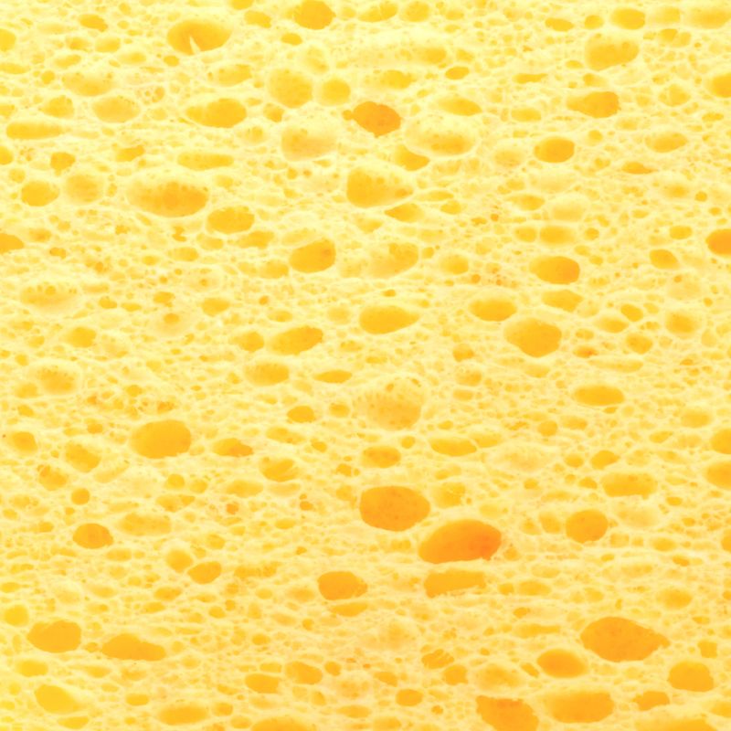 169805