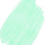 10040007