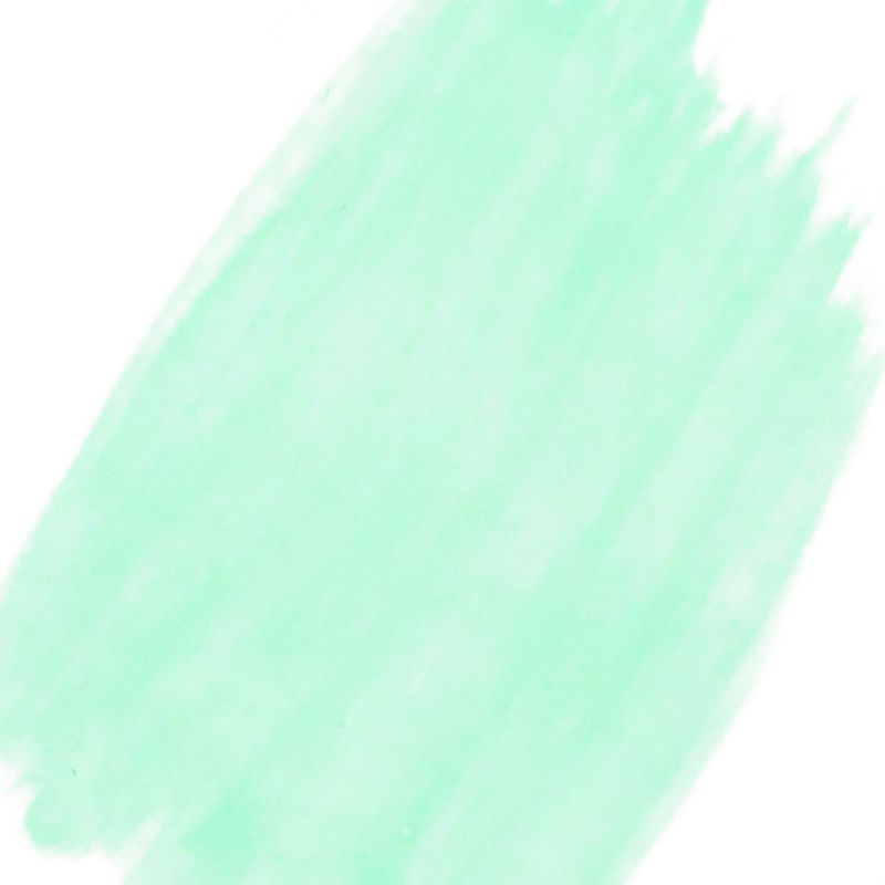 10040007