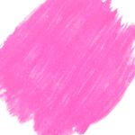 10040013