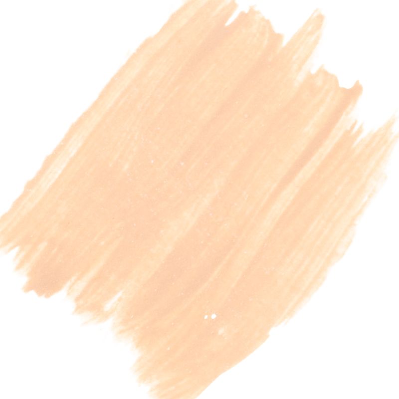 10040017