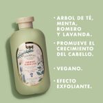 Shampoo-Fresco-y-Purificante-450ml