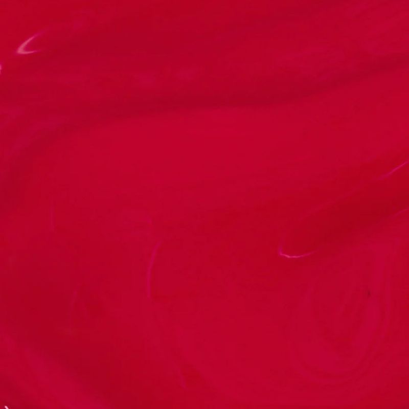 Dutch-Tulip