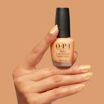 Beauty-School-Popout